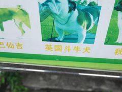 -万绿园
