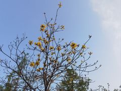 -东坡羽毛球馆(东坡南一路店)