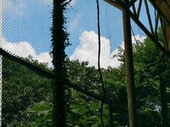 -成都恒博医院·全科检查