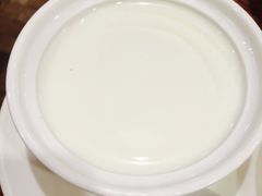 姜撞奶-正德顺順德雙皮奶(中信店)