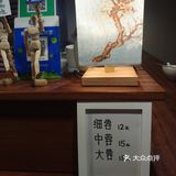 虾面店