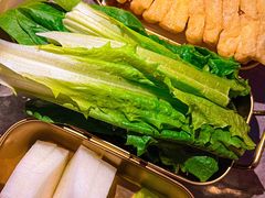 -Darling Queen·Mini·Live·House