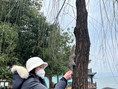 -杭州君悦酒店
