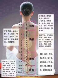 -Oasis Beauty水磨坊科技美肤中心