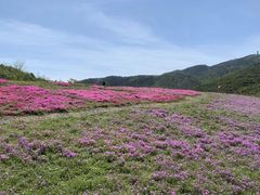 -冶父山国家森林公园