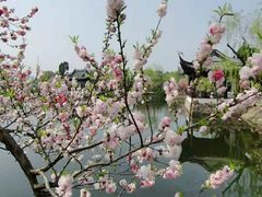 -无锡蠡湖国家湿地公园-蠡园