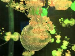 -多彩贵州城极地海洋世界