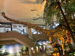 -甘肃地质博物馆