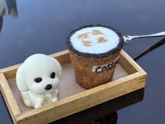 -时光吧·大堂吧·丽江和府洲际度假酒店