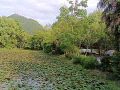-花溪公园