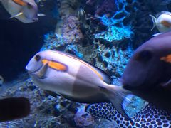 -成都浩海立方海洋公园