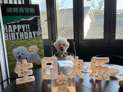 -翊宠yipet猫狗购宠庄园犬舍•猫舍