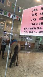 -南京万达乐园