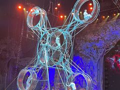 -广州长隆国际大马戏