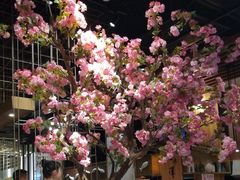 -九井澤精致料理(金茂店)