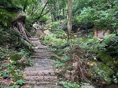 -三块石国家森林公园
