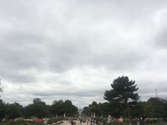 -杜乐丽花园