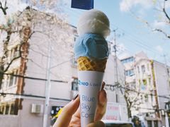 -Dal Cuore 达可芮冰淇淋(陕西北路店)