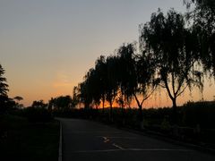 -洨河生态公园