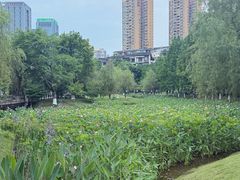 -沐仙湖湿地公园