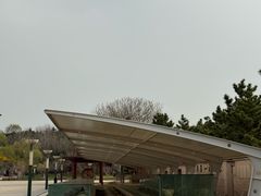 -烟台自然博物馆
