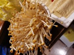 -三只耳火锅(宽窄巷子店)