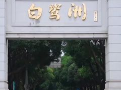 -白鹭洲公园
