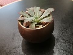 -Peet's Coffee皮爷咖啡(德基店)