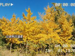 -北京西山国家森林公园