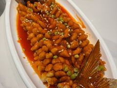 -新侨小馆(东直门北小街店)