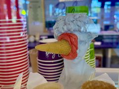 -Dooley's Premium Ice Cream