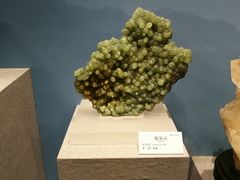 -贵州省地质博物馆