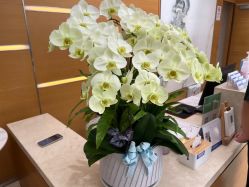 -杭州贝瑞斯美华妇儿医院·早孕·产检·儿科