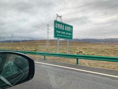-敦煌莫高窟