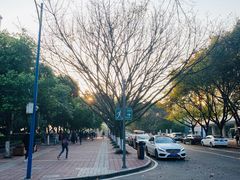 -西南政法大学(渝北校区)