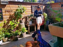 -春风十里咖啡馆