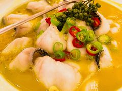 藤椒鱼片-金时代顺风大酒店(协泰店)
