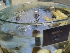 -旺顺阁海鲜广场(亚运村店)