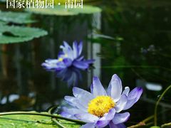 -国家植物园南园
