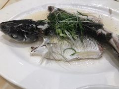 -稻香酒家·35年老字号(侨光店)