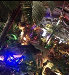 -恐龙探索乐园(磁器口店)