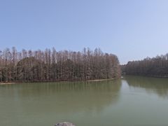 -上海海湾国家森林公园