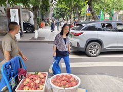 -肖肖酸萝卜鱼火锅(总店)