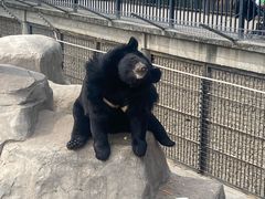 -石家庄市动物园