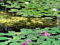 -白鹭湾湿地公园