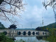 -重庆园博园