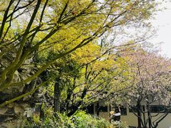 -上海醉白池公园