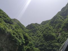 -王顺山国家森林公园