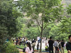 -幽岚山·童话森林