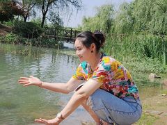 -大塘金香草谷